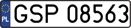 GSP08563