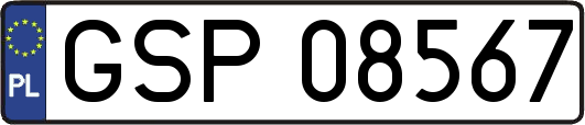 GSP08567
