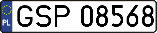 GSP08568