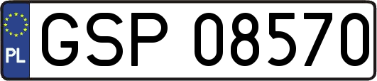 GSP08570