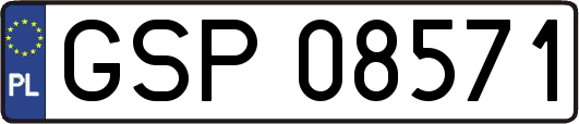 GSP08571