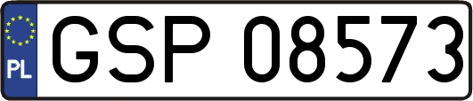 GSP08573