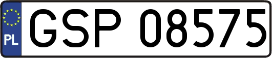 GSP08575