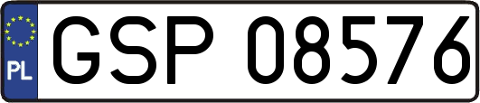 GSP08576