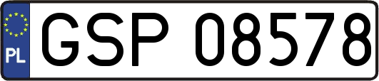 GSP08578