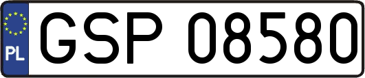 GSP08580