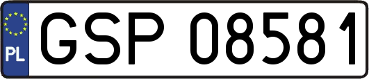 GSP08581