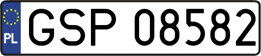 GSP08582