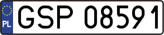 GSP08591