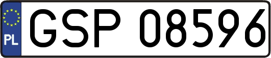 GSP08596