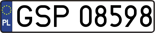 GSP08598