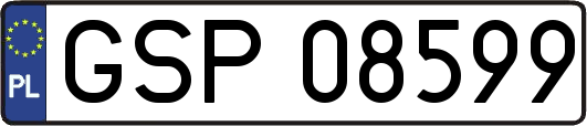 GSP08599
