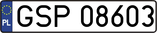 GSP08603