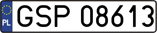 GSP08613
