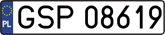 GSP08619