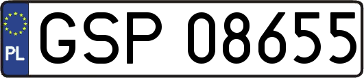 GSP08655