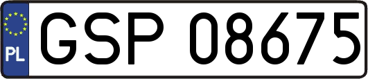 GSP08675