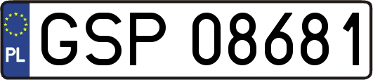 GSP08681