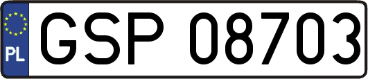 GSP08703