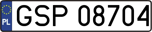 GSP08704