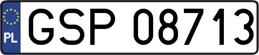 GSP08713