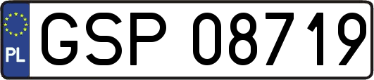 GSP08719