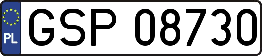 GSP08730
