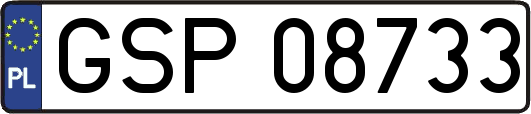 GSP08733