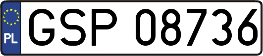 GSP08736