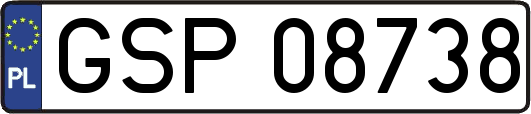 GSP08738