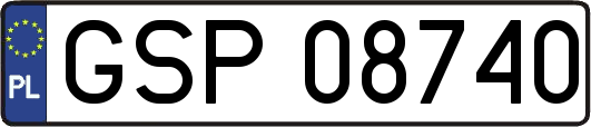 GSP08740