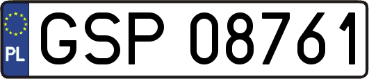 GSP08761