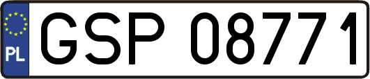 GSP08771