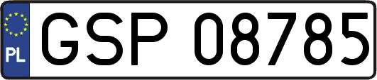 GSP08785