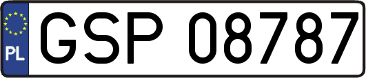 GSP08787