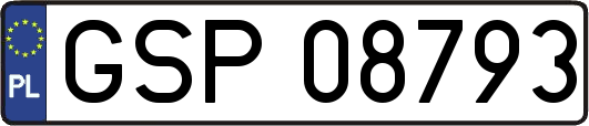 GSP08793