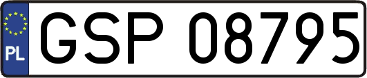 GSP08795