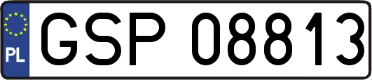 GSP08813