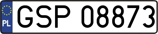 GSP08873