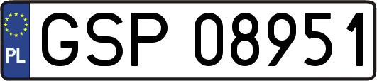 GSP08951