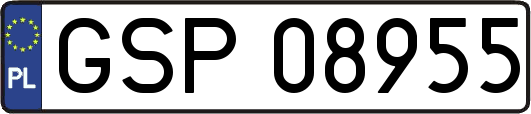 GSP08955