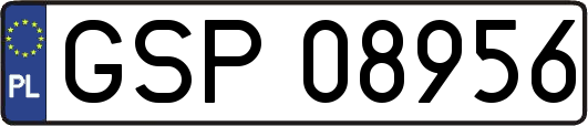 GSP08956