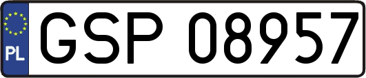 GSP08957