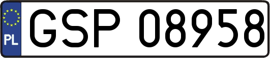 GSP08958
