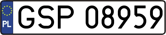 GSP08959