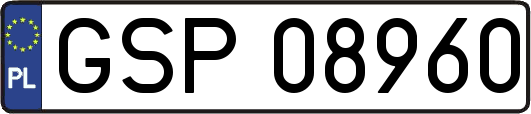 GSP08960