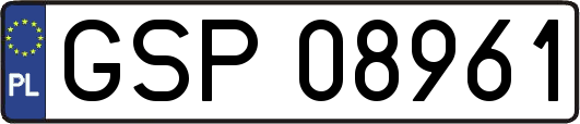 GSP08961