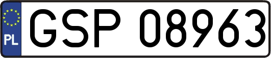 GSP08963