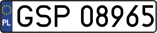 GSP08965