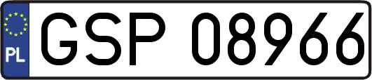 GSP08966
